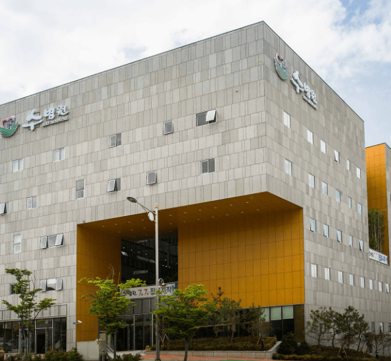 전주시 완산구 정형외과