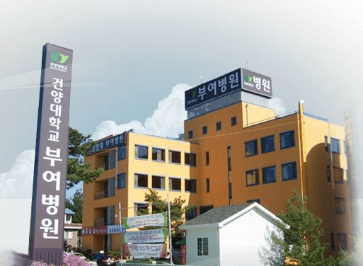 부여군 정형외과