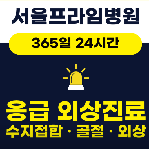 천안시 서북구 정형외과