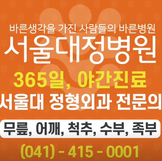 천안시 서북구 정형외과