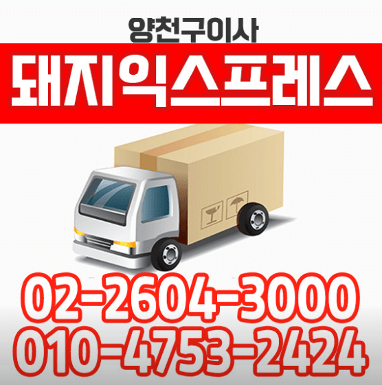 서울 양천구 이삿짐센터