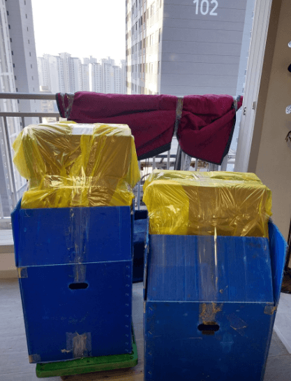 안성시 이삿짐센터