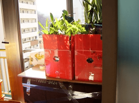 수원시 영통구 이삿짐센터