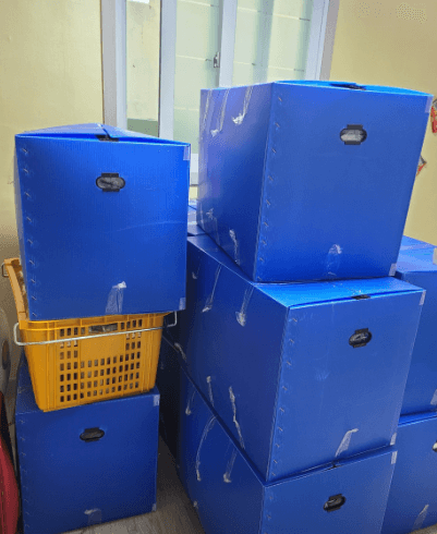 성주군 이삿짐센터