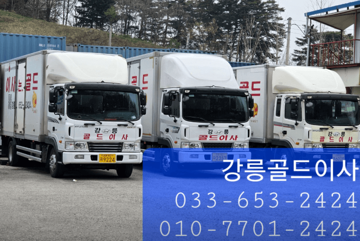 강릉시 이삿짐센터