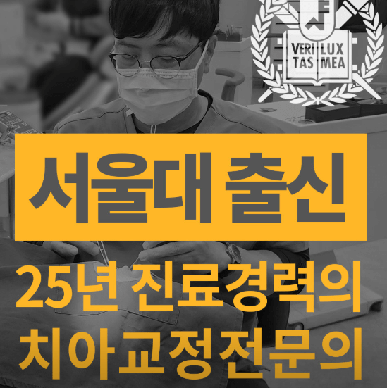 고양시 일산동구 치아교정