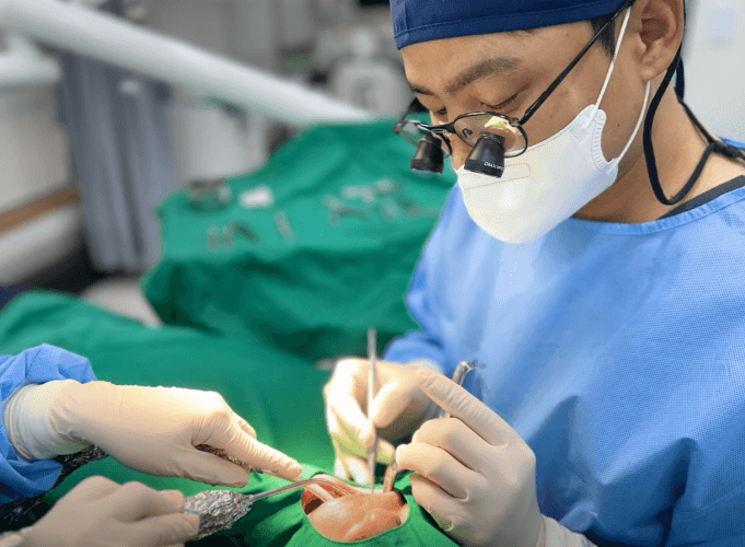 용인시 처인구 치아교정