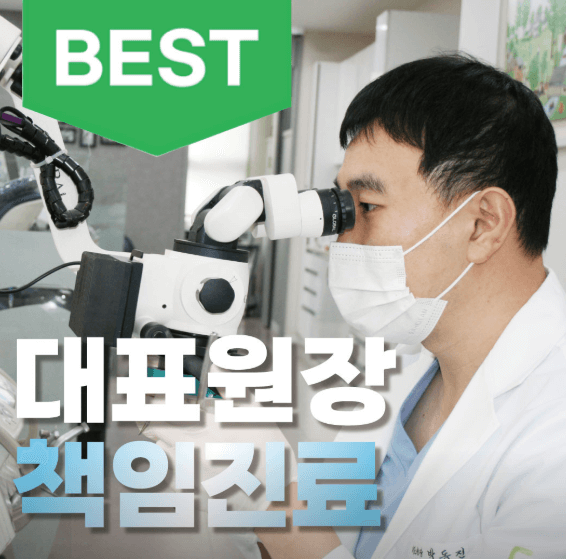 안양시 만안구 치아교정