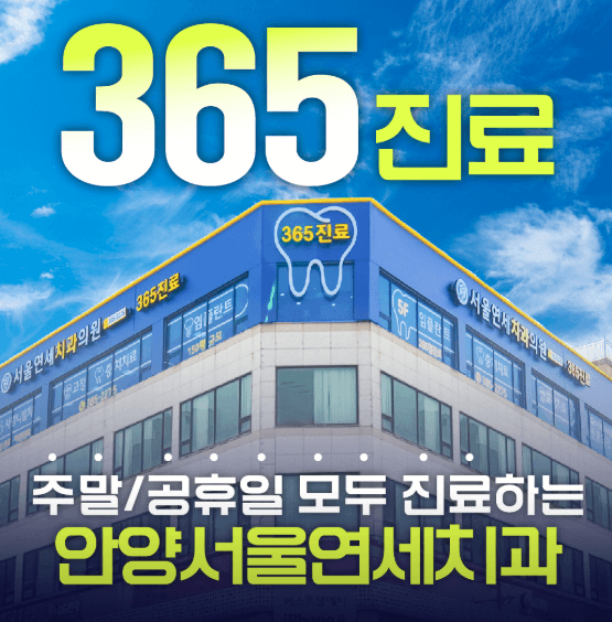 안양시 동안구 치아교정