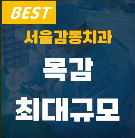 시흥시 치아교정