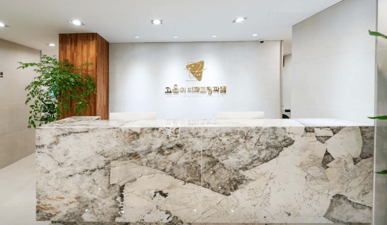 제주시 치아교정