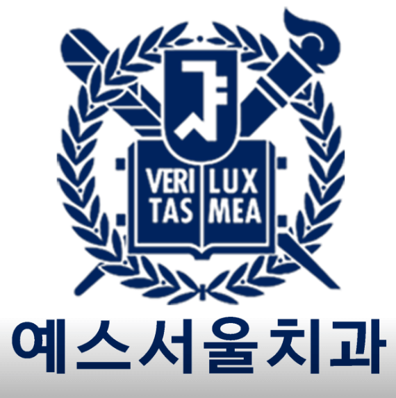 인천 옹진군 치아교정