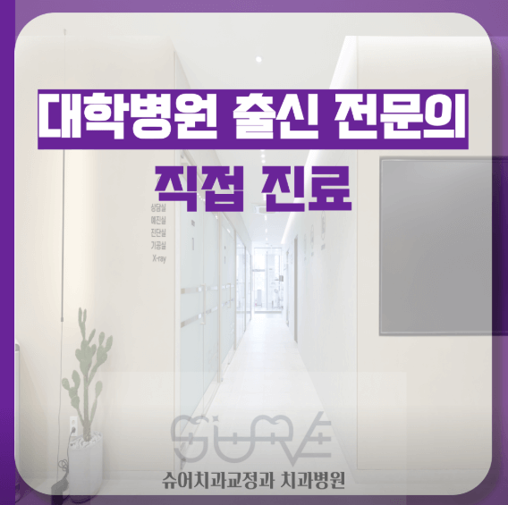 인천 옹진군 치아교정