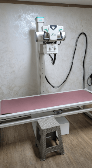 인천역 정형외과