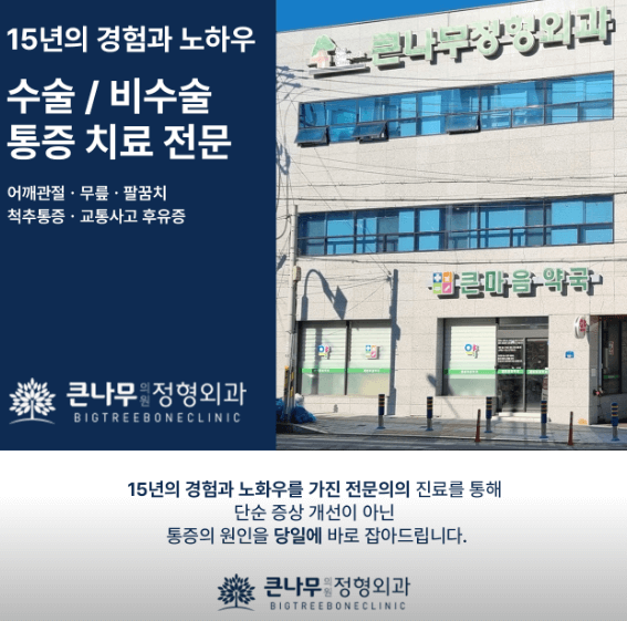 배방역 정형외과