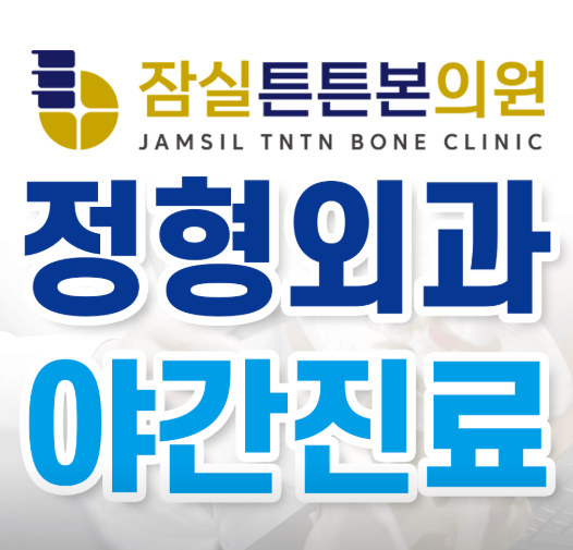 잠실나루역 정형외과