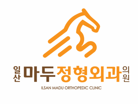 마두역 정형외과