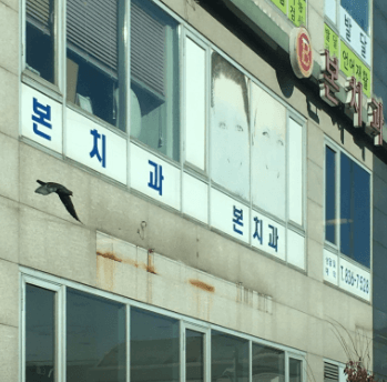 녹양역 치아교정