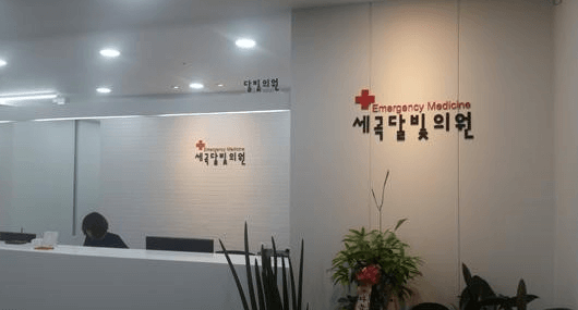 서울 강남구 야간진료 병원