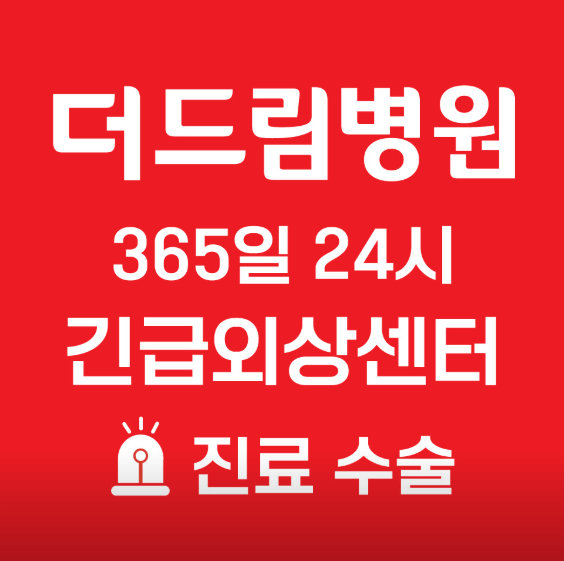 서울 강남구 야간진료 병원