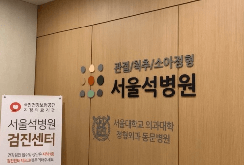 서울 송파구 야간진료 병원