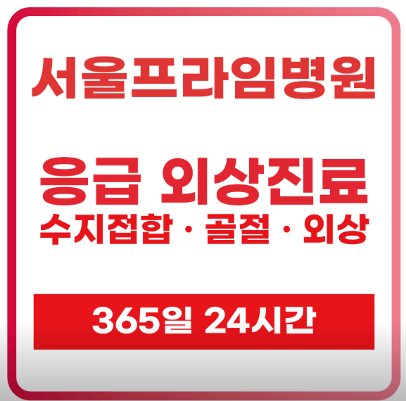 서울 광진구 야간진료병원