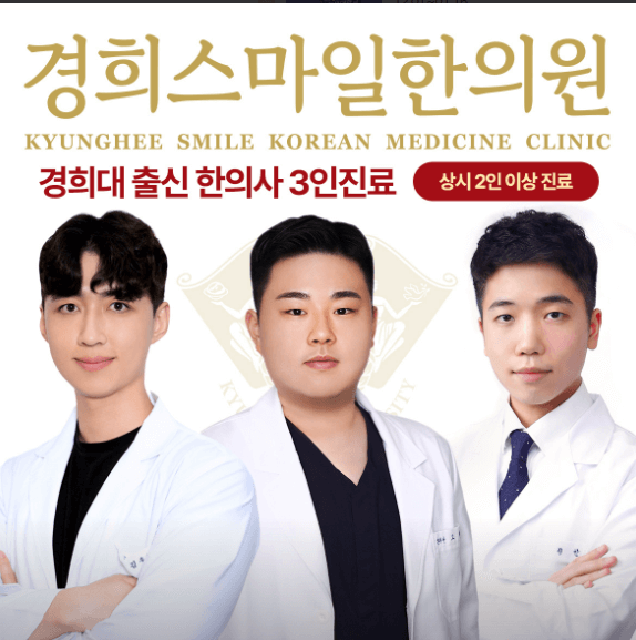 서울 종로구 야간진료 병원