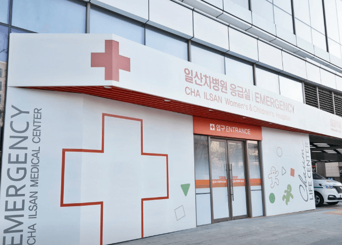 고양시 덕양구 야간진료 병원