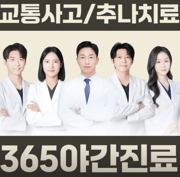 고양시 일산서구 야간진료 병원