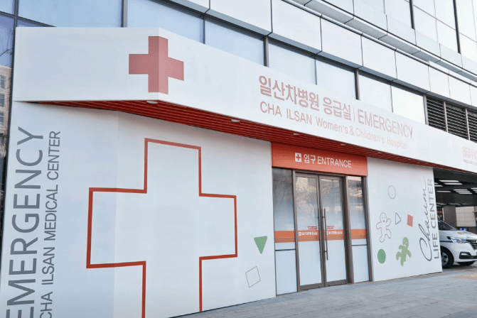 고양시 일산서구 야간진료 병원