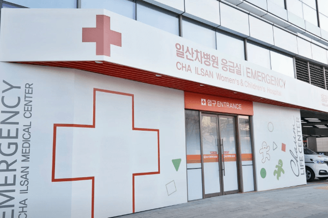 고양시 일산동구 야간진료 병원