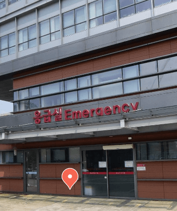 안성시 야간진료 병원