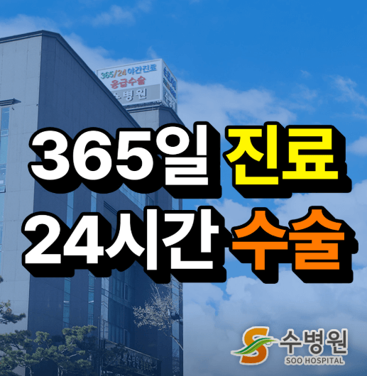 수원시 팔달구 야간진료 병원