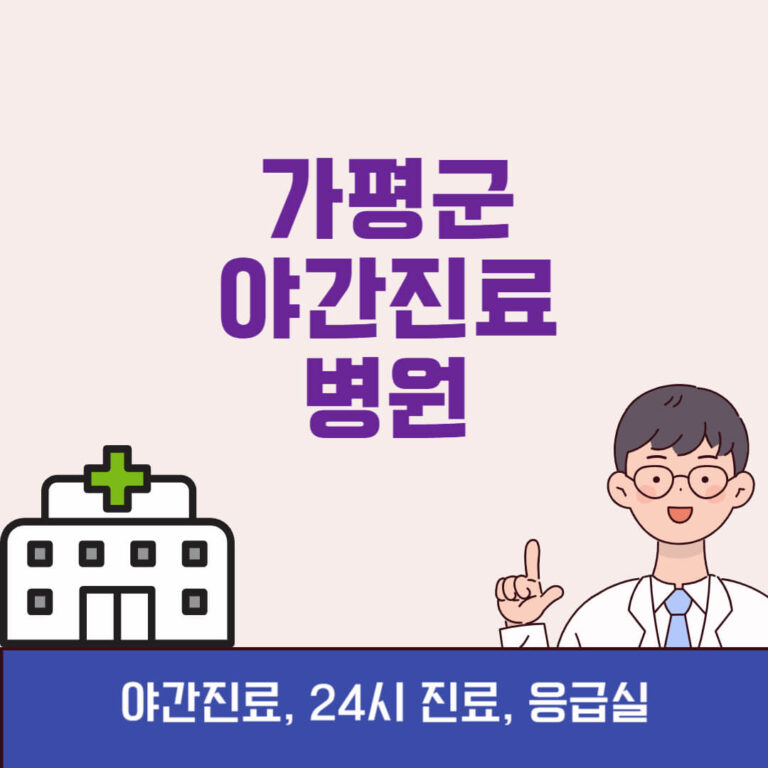 가평군 야간진료 병원