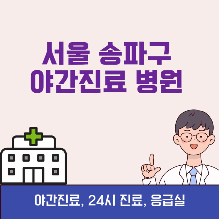 서울 송파구 야간진료 병원