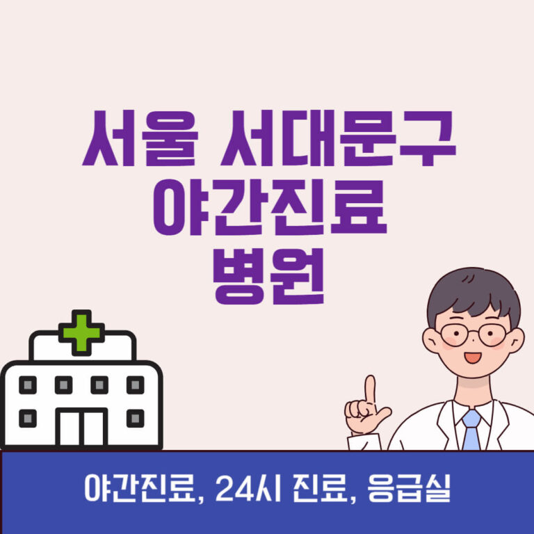 서울 서대문구 야간진료 병원