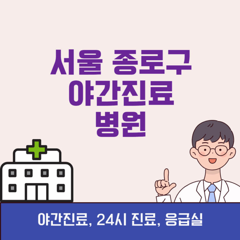 서울 종로구 야간진료 병원