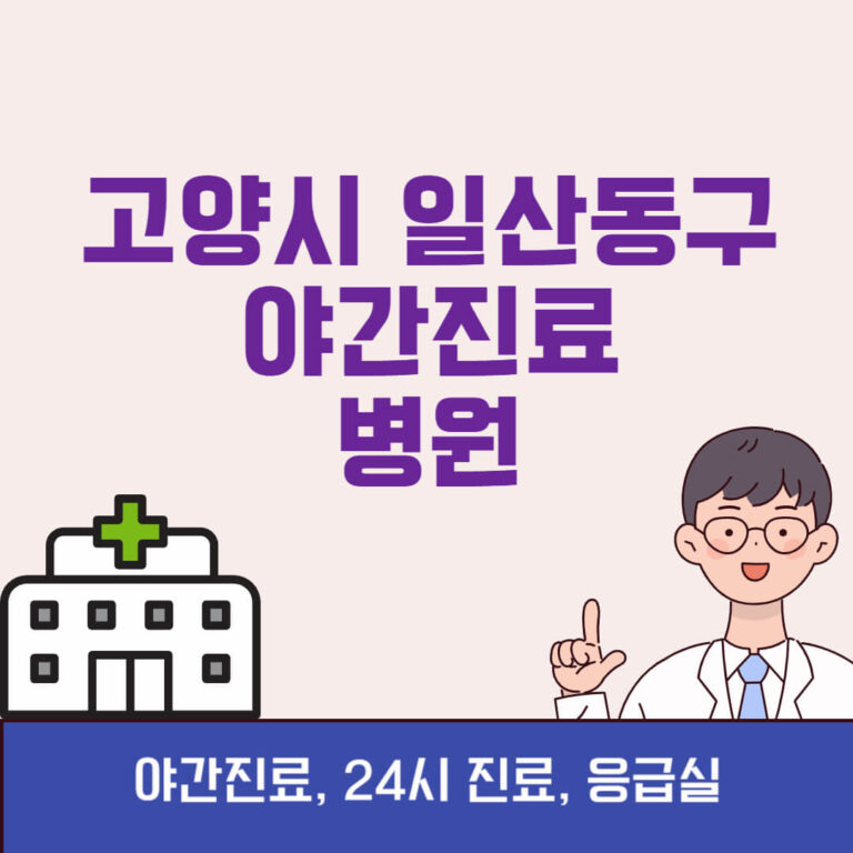 고양시 일산동구 야간진료 병원