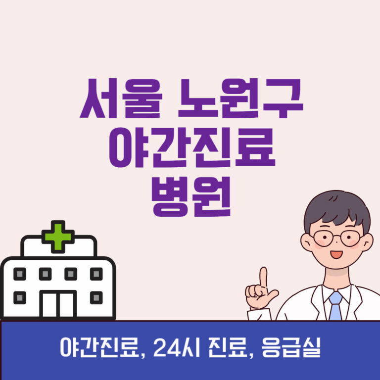 서울 노원구 야간진료 병원