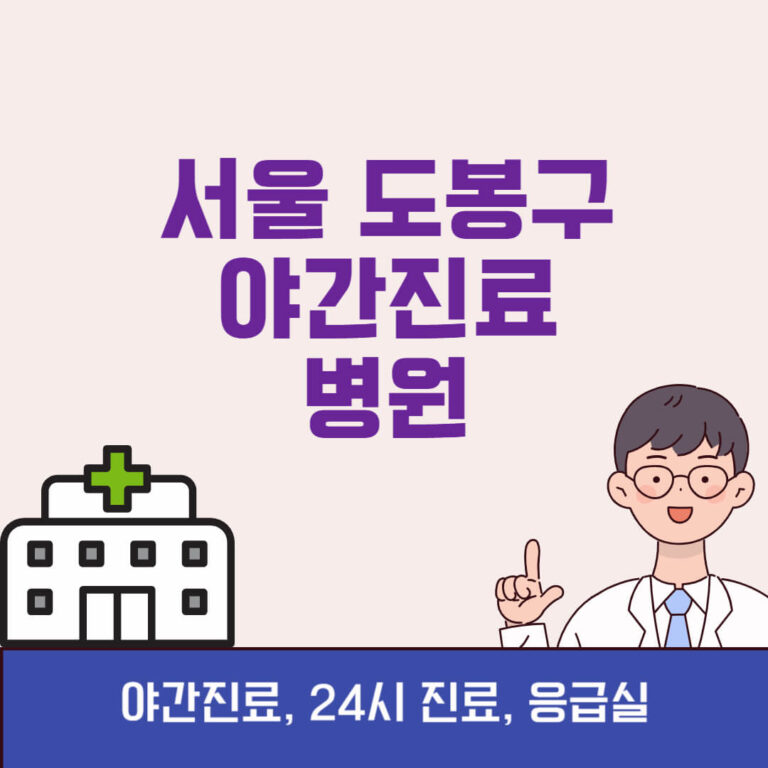 서울 도봉구 야간진료 병원