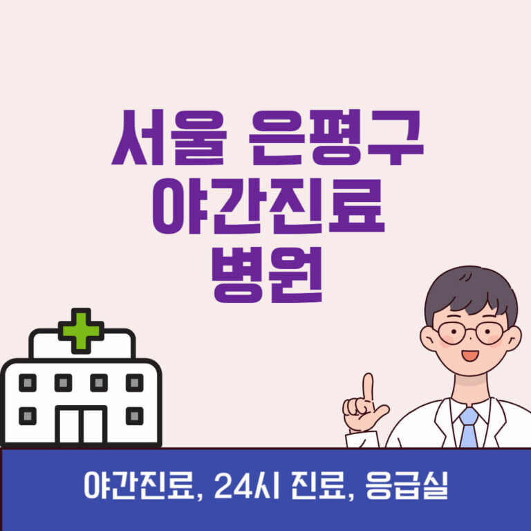서울 은평구 야간진료 병원