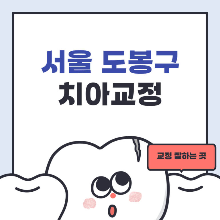 서울 도봉구 치아교정