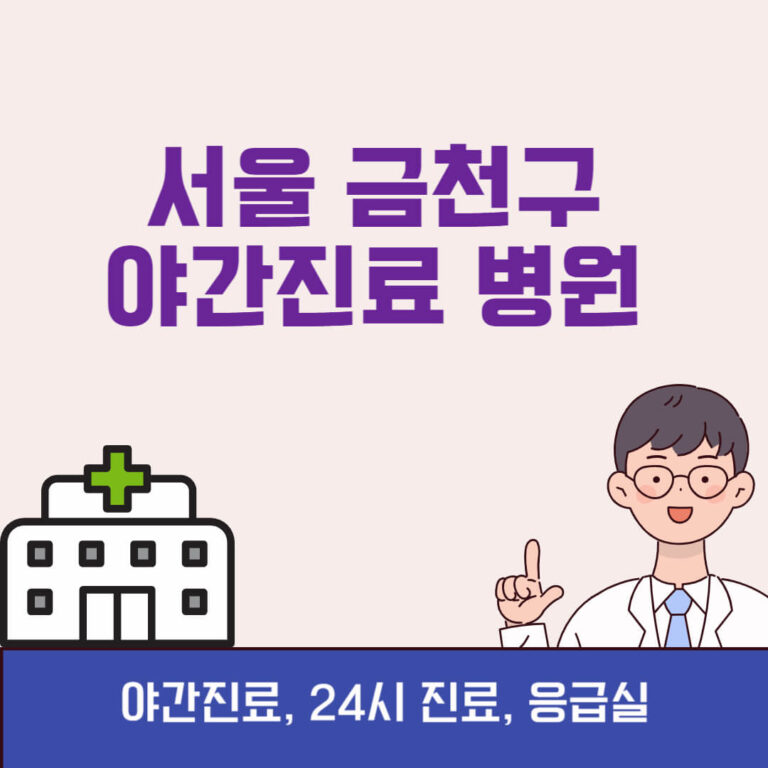 서울 금천구 야간진료 병원