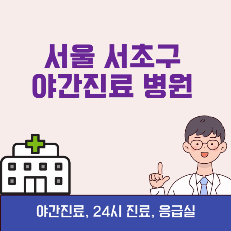 서울 서초구 야간진료 병원