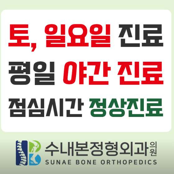 성남시 분당구 야간진료 병원