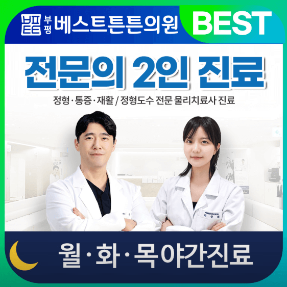 인천 부평구 야간진료 병원