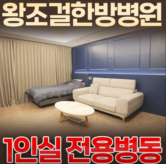 대전 중구 야간진료 병원