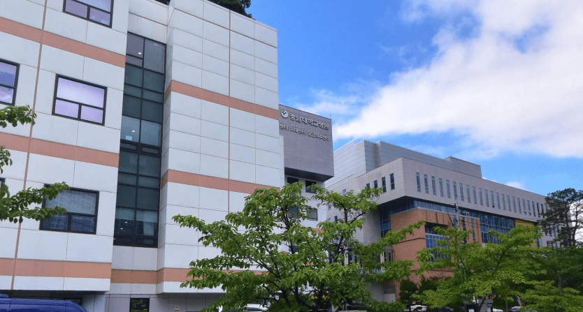 대전 중구 야간진료 병원