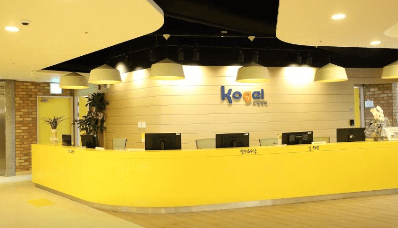 대전 유성구 야간진료 병원