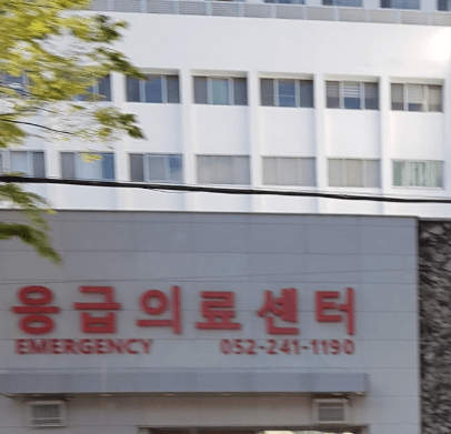 울산 중구 야간진료 병원
